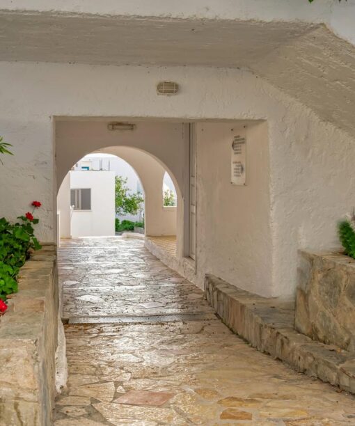 Μοναδική προσφορά για το ξενοδοχείο Akoya ResortΠροσφορά για διαμονή σε Akoya Resort