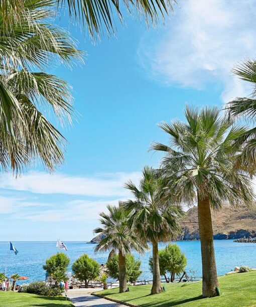 Μοναδική προσφορά για το ξενοδοχείο Marine Palace & Aqua ParkΠροσφορά για διαμονή σε Marine Palace & Aqua Park