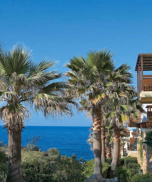 Προσφορά Marine Palace & Aqua Park