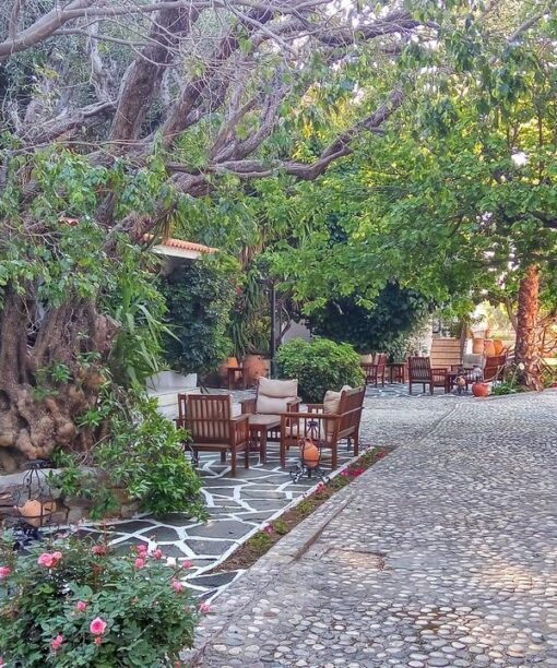Μοναδική προσφορά για το ξενοδοχείο Oasis Hotel Bungalows RhodesΠροσφορά για διαμονή σε Oasis Hotel Bungalows Rhodes